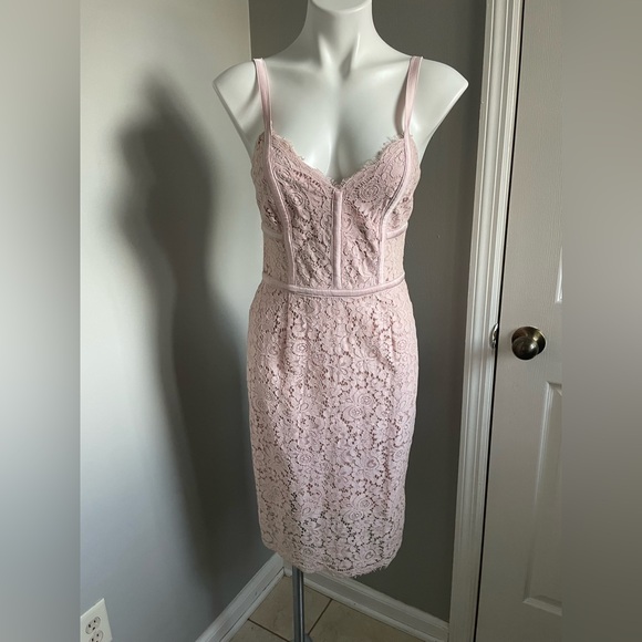 Express Lace Dress - Picture 2 of 6